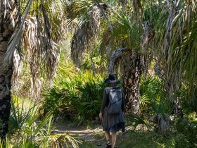 14-1118-park-caladesi-FL-clearwater.jpg