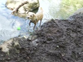 02-1828-nixie-fresh_pond.mp4