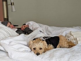 sleeping (20)