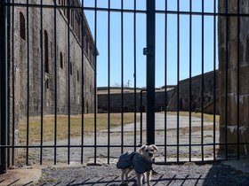 ruins (20)