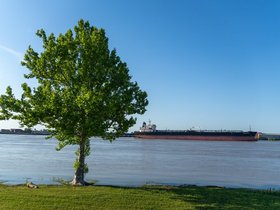 ../2025/04/17-1845-tree-ship-new_orleans-LA-river.jpg