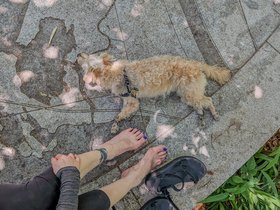 ../2025/04/18-1306-new_orleans-LA-nora-hiking-nixie-park.jpg