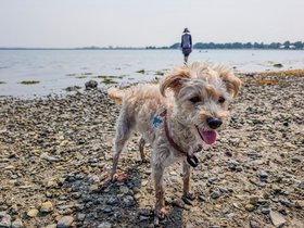 ../2025/08/03-1544-carson_beach-MA-nora-nixie.jpg