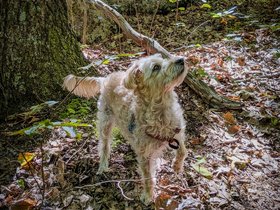 ../2025/08/31-1029-nixie-breakheart_reservation-MA-by_nora.jpg