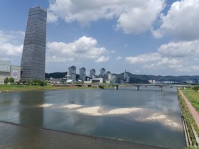 view (27)