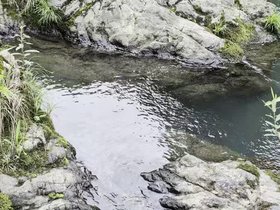 04-1330-tokyo-JPN-hike-river.mp4