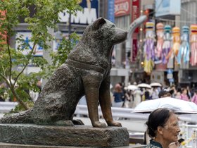 shibuya (44)