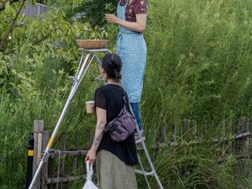 05-1819-JPN-nora-street-tokyo.jpg