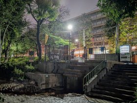 night (117)